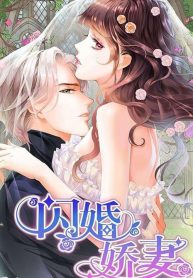 The Beautiful Wife Of The Whirlwind Marriage