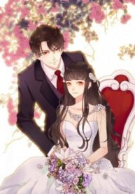 the wife contract ran away of ceo
