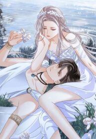 post_14247_image