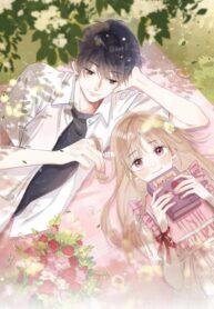 post_77293_image
