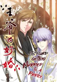 its-hard-getting-married-to-a-prince