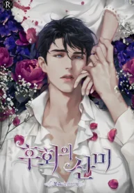후회의 산미