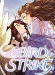 bird-strike-234×300