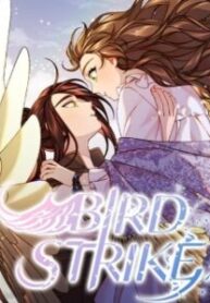 bird-strike-234×300