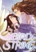 bird-strike-234×300
