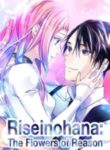 riseinohana-234×300