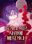 Fall in Love or Die