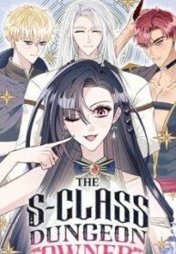 THE S-CLASS DUNGEON OWNER