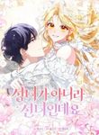 manga_62465_image